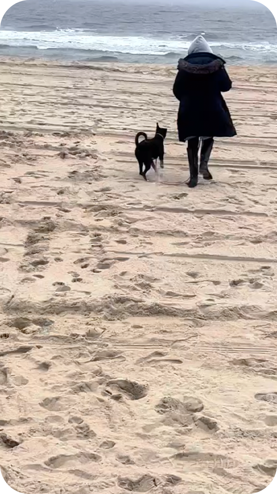 Trail Hound