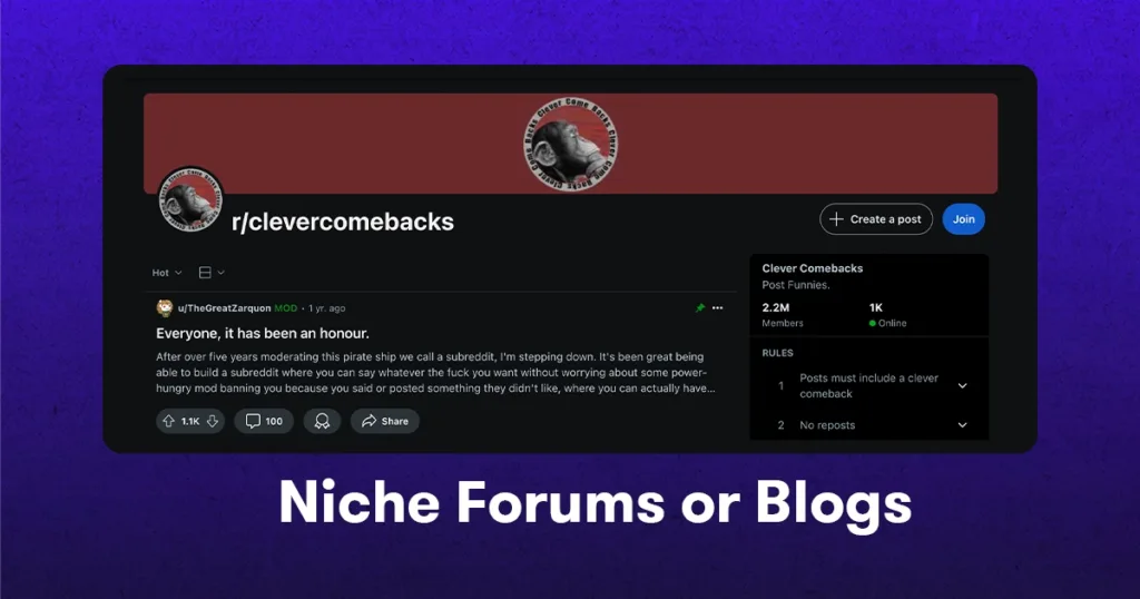 niche forums and blogs