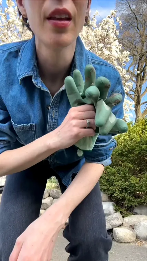 OtO