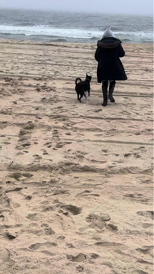 Trail Hound